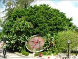 Santiago Palmer Square - CAGUAS